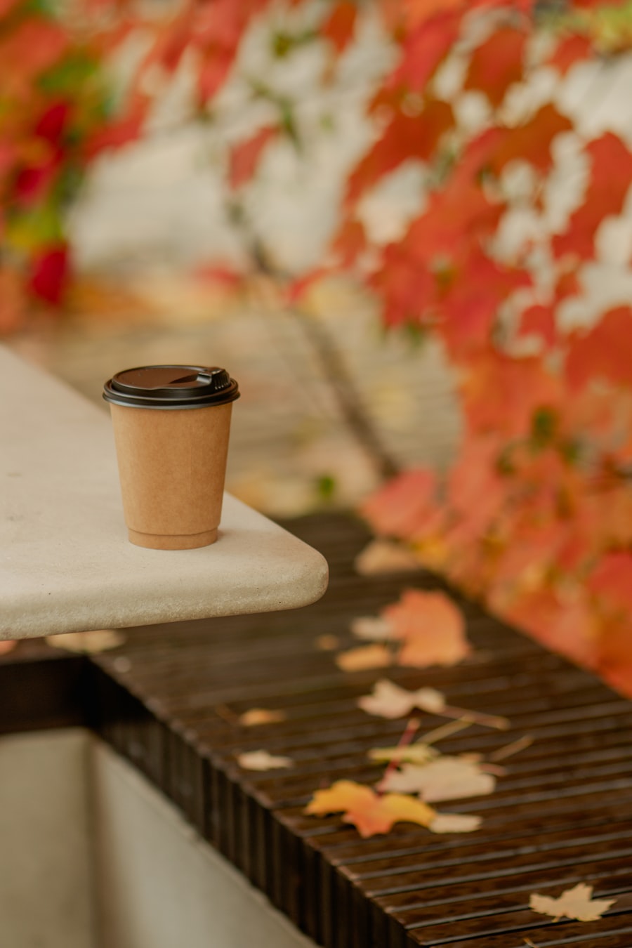A kraft paper coffee cup with a lid, sitting on the end of a stone bench among autumn leaves.
